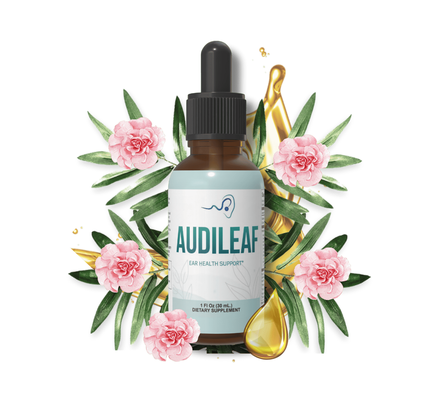 AudiLeaf Product